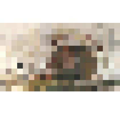 Акварель «Кириллов. Келарский корпус»