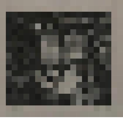 Литография. Семейный уют