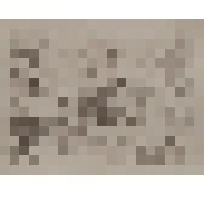 Литография. Запсковье