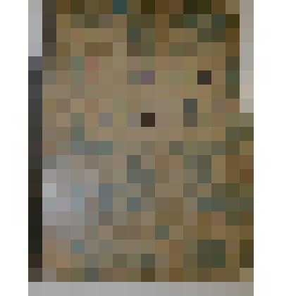 Книга. История русского искусства. Том I