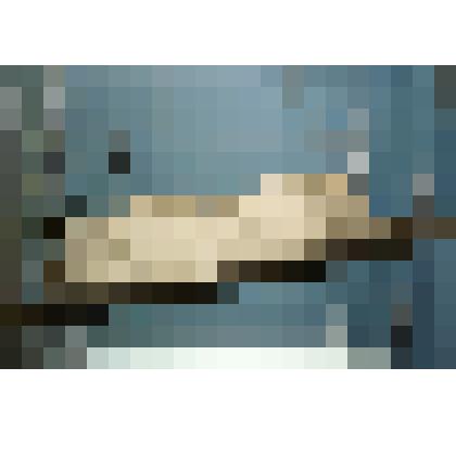 Люлька детская (на языке народа носителя - пебий)