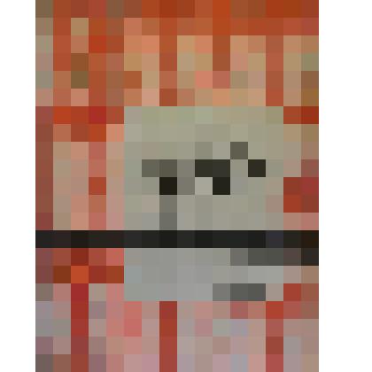 Брошюра. Мы работаем вместе с Советским Союзом. Ударники колхозов Немреспублики у тов. Сулимова. На немец.языке. Энгельс