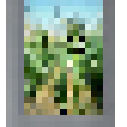 Книга. Книга «Научные труды», выпуск I