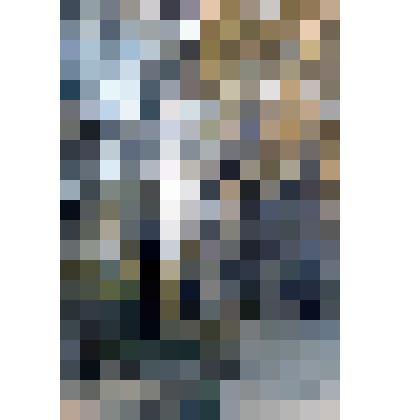 Диапозитив. Парк. (321)