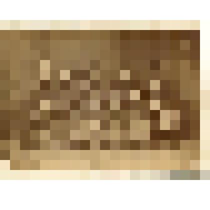 Фотография черно-белая. Выпускницы института благородных девиц им. Николая I