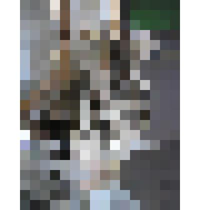 Фрагменты (пряжки, набойки, части креплений)