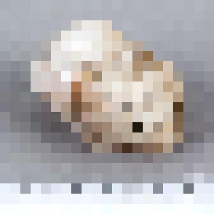 Галька со сколами