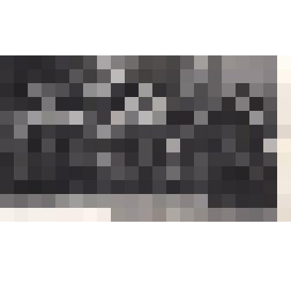 Ф/чб. Сборы руководящего состава войск ПВО СССР в ЦОК ЗРВ ПВО Костерево (4 ряд 1 справа полковник Солдатов В.Т.). Владимирская обл. 12.12.1974