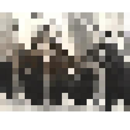 Фото черно-белое "Почетный караул у боевых знамен 33 армии во время открытия Всесоюзной Вахты памяти."