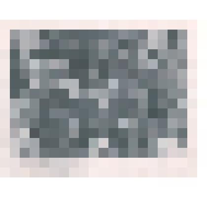 Фотография: группа десантников I-й Гвардейской Сибирской дивизии, участвовавшей в штурме линии Маннергейма. Среди присутствующих Рычков Леонид Иосифович