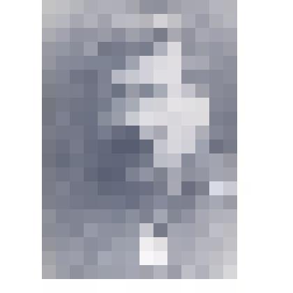 Фотография: Работинский Константин Филатович, врач из с.Волчно-Бурла Крутихинского района Алтайского края, который в годы ВОВ подарил значительную сумму денег на строительство самолета. Копия