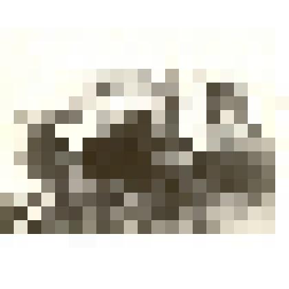 Фотография: вид набережной с.Камень Крутихинской волости Барнаульского уезда Томской губернии. Копия