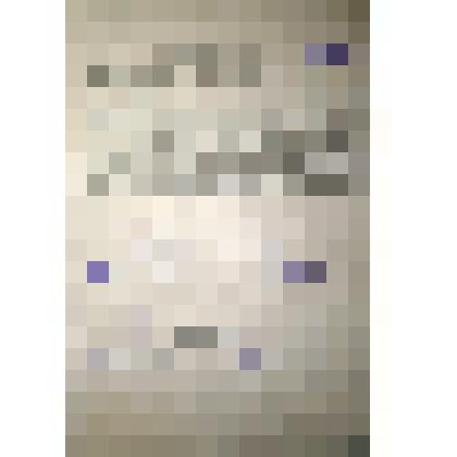 Боевая характеристика Нестеренко И.И