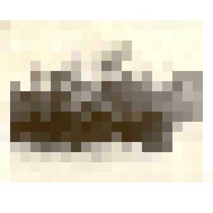 Фотография: колонна школы №5 на демонстрации 7 ноября 1952 года в г.Камень-на-Оби Алтайского края