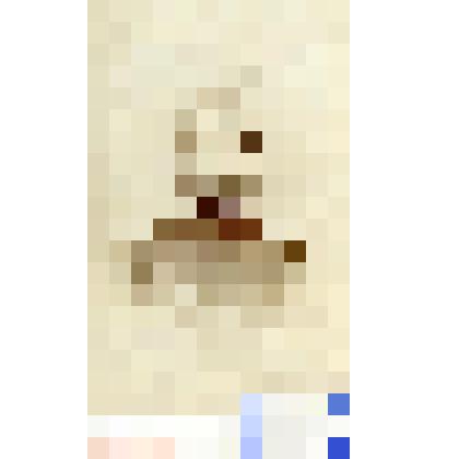 Фотография черно-белая. Богаевский Михаил Ильич