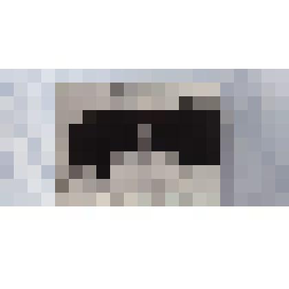 Фотокопия серебряной стопки  Д.В. Давыдова