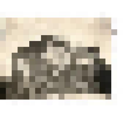 Ф/чб. Техникум механизации сельского хозяйства. НКЗ Тракторцентр СССР. Марксштадт. АССР НП. 1930-е