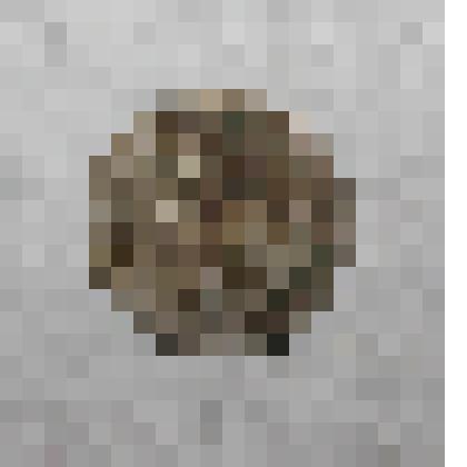 Монета советская достоинства 10 коп