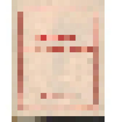 Брошюра. Красная Армия-армия освободительница