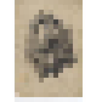 Фотография. Заозерский Василий Павлович