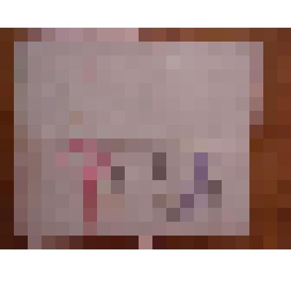 Благодарность за отличные боевые действия от 28 марта 1944 года