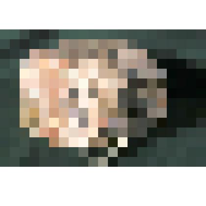 Молибденит