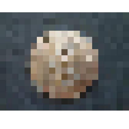 Медаль. Ярославль