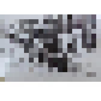 Фотография групповая. Дети в песочнике