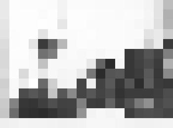 Фотография. Культурный центр "Дом-музей  М. Цветаевой" в Москве. Выступление В. Лосской (Франция). Л.А. Мнухин сидит, А.В.Ханаков стоит