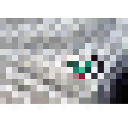 Значок. Москва XXII Олимпиада. Баскетбол