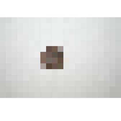 Монета. 1 копейка