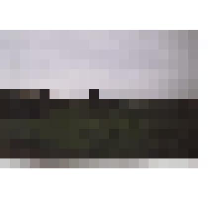 Фотография. Место где располагалось поместье Погуляевых в деревне Искадьево