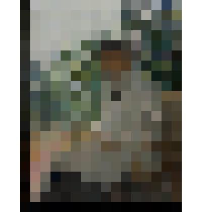 Портрет Л.Н. Толстого на террасе