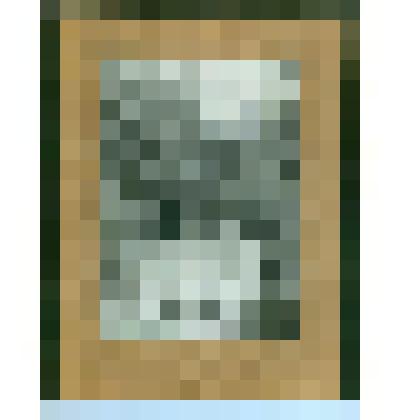 Фотография. Беклемишев Владимир Николаевич