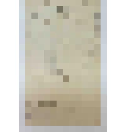 Свидетельство (дубликат) №365111