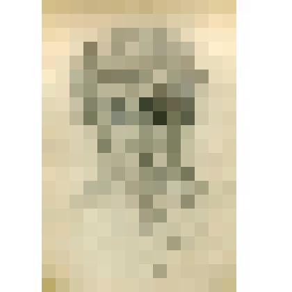 Рисунок. Портрет А.С.Тулина. Из альбома Коняшина Григория Марковича