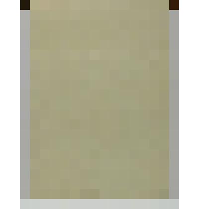 Рисунок – Сосна