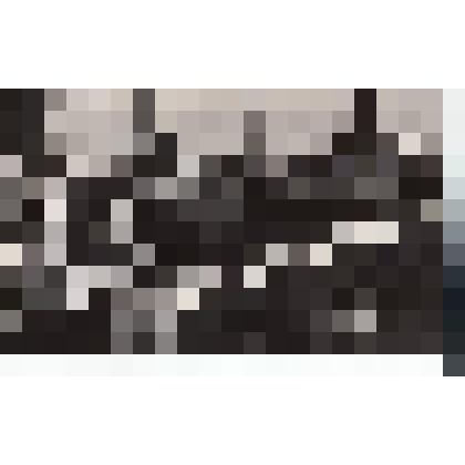 Ф/чб. Открытие автомоста Саратов-Энгельс через р. Волга. Почетные гости в президиуме за трибуной. 11.07.1965