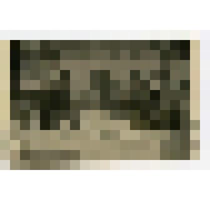 Фотография. Семья Карасевых на берегу Москвы-реки. Село Коломенское