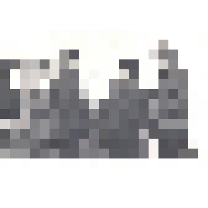 Фотография: звено Вахтеля из колхоза "Россия" Каменского района: Вахтель А., Жадченко М., Пономарев А