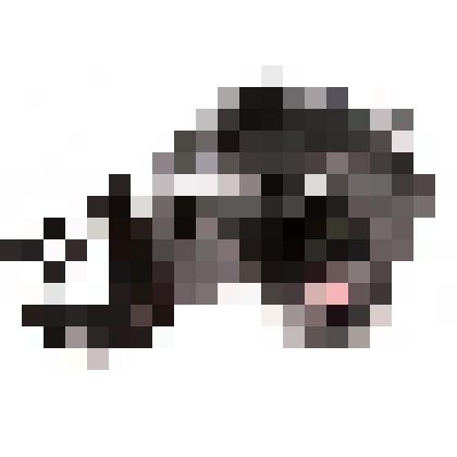 Фотоаппарат "Киев-60" - широкоформатный, со съемным объективом "Волна-3"; № 8803761