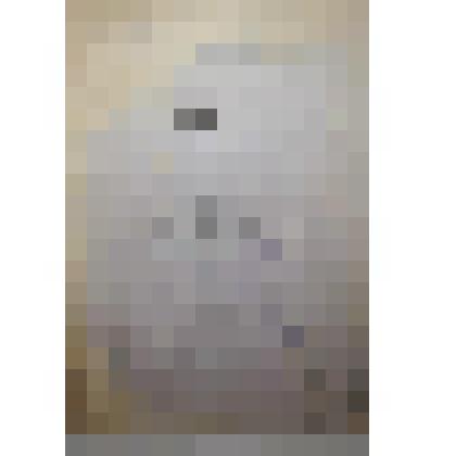 Книга. Беседы о вредных насекомых. Типография губернской земской управы