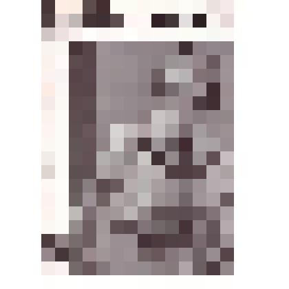 Журнал «Die Schachenmayrin» № 3 за 1935 год