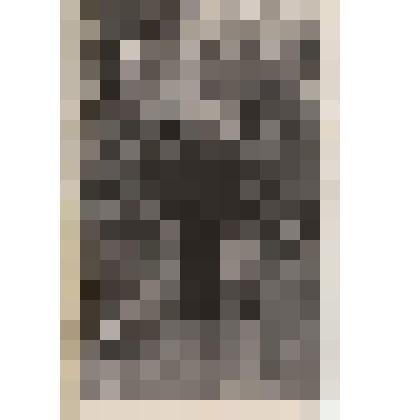 Фотография. Дуров Николай Андреевич