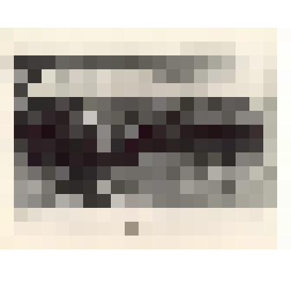 Фотокопия. Расшивы ("Жизнь и быт крестьян Олонецкой губернии конца ХIХ - начала XX вв."). Из комплекта: Фотокопии фотографий из книги "Полное географическое описание нашего Отечества" под редакцией П.В. Семенова т. 3 "Озерная область"