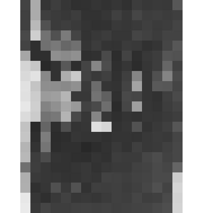 Фермерский дворец. Кабинет Александра II. Восточная сторона северной оконной амбразуры