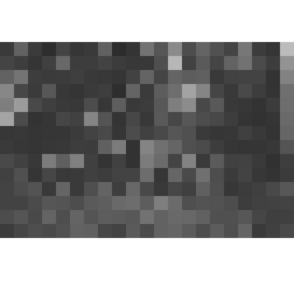 Фермерский дворец. Бассейн с мостиком перед западным флигелем