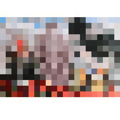 Сканерный снимок