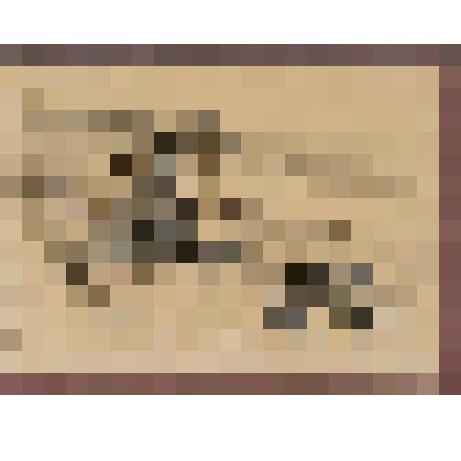 Камни на берегу