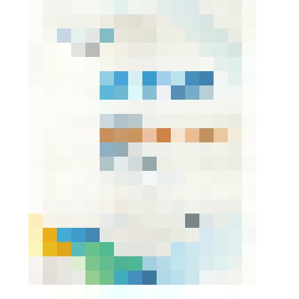 Диплом Екатерины Родченковой